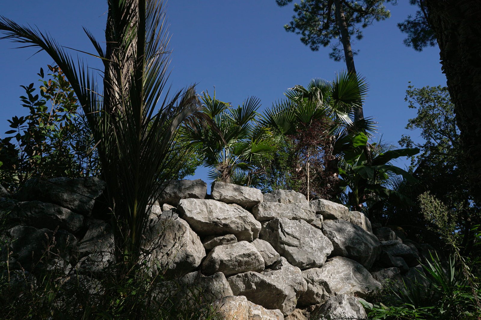 olivier chantier landes 2